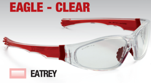 Schutzbrille Eagle durchsichtige Linse