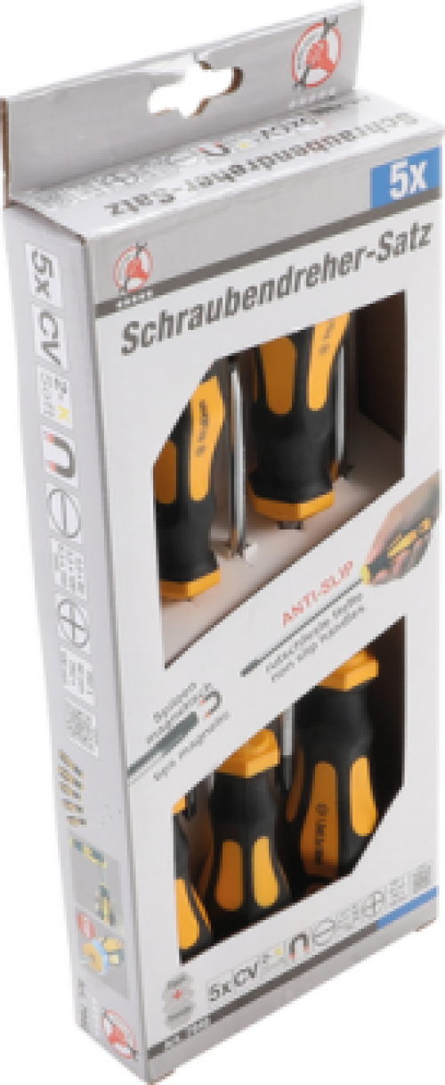 Schraubendreher-Satz | 5-tlg.