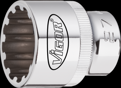 Steckschlüssel-Einsatz Multiprofil 1/2" 14 mm