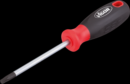 TORX Schraubendreher T27
