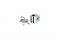Thule Lock 567