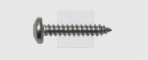 Blechschraube Linsenkopf 2,9 x 13, Edelstahl A2, DIN 7981
