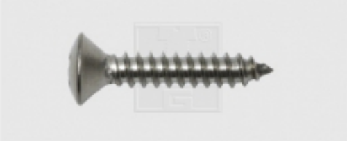 Blechschraube Linsensenkkopf 3,5 x 13, Edelstahl A2, DIN 7983