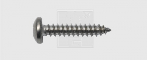 Blechschraube Linsenkopf 4,8 x 25, Edelstahl A4, DIN 7981