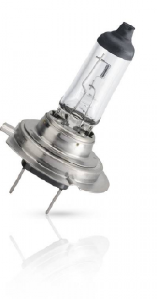 H7-Glühlampe Standard 12V 55W