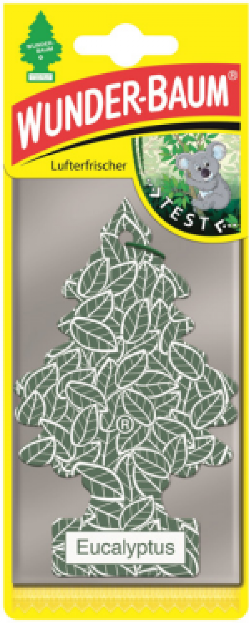 Wunderbaum "EUCALYPTUS"
