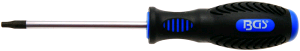 Schraubendreher T-Profil (für Torx) T25 Klingenlänge 100 mm