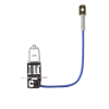 Glühlampe 24V H3
