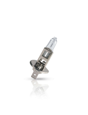 H1-GLUEHLAMPE 12V/55W +30