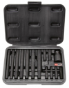 Set, Schraubendreher-Einsatz (Bits)