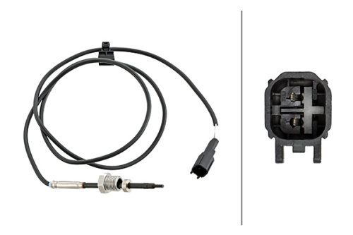 Abgastemperatursensor Ford Transit